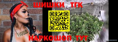 спиды Обь