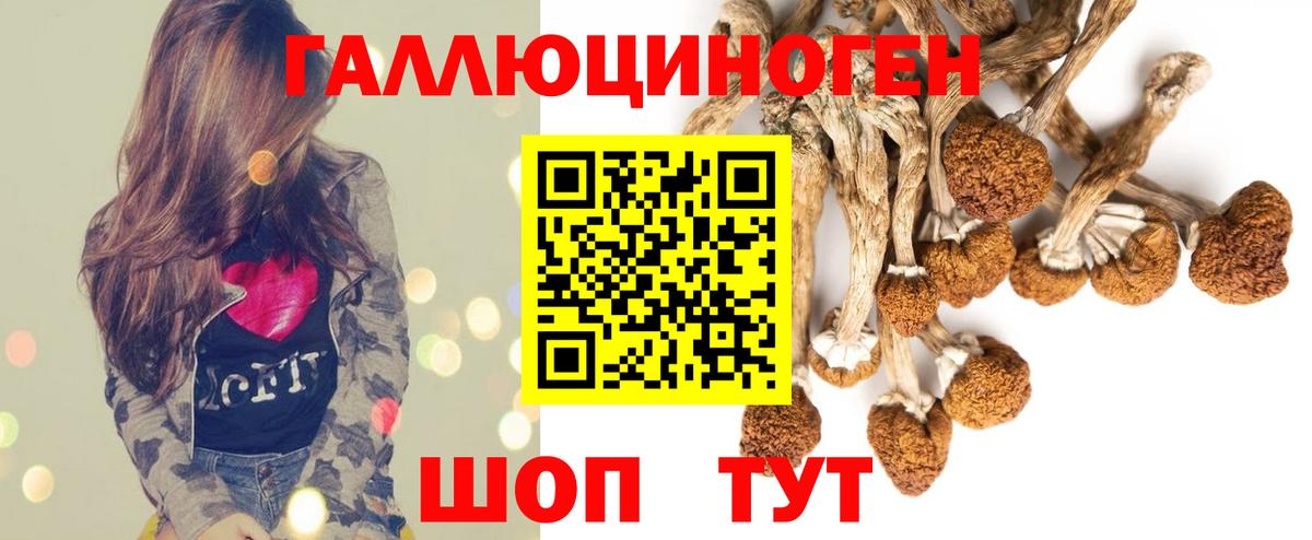 Псилоцибиновые грибы ЛСД Сосновый Бор