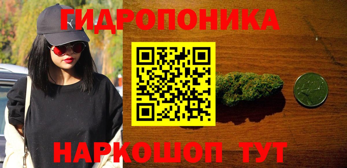 Канабис OG Kush Сосновый Бор
